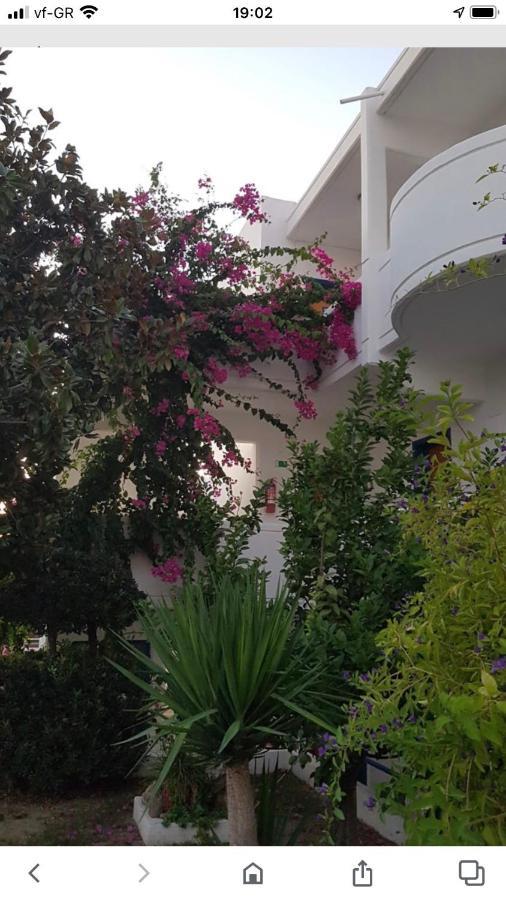 Danae Hotel Faliraki Zewnętrze zdjęcie